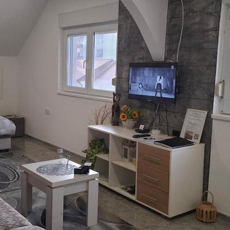 Apartments Ivanovic Center City Bajina Basta Εξωτερικό φωτογραφία